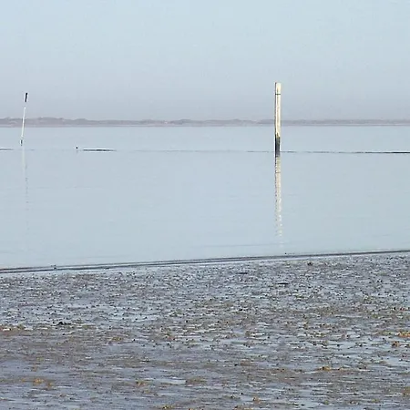 아파트 Direkt Am Deich - Seerobbe -