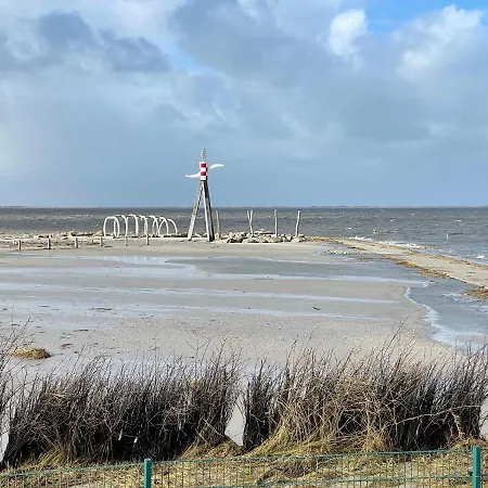 Direkt Am Deich - Seerobbe - 돌눔