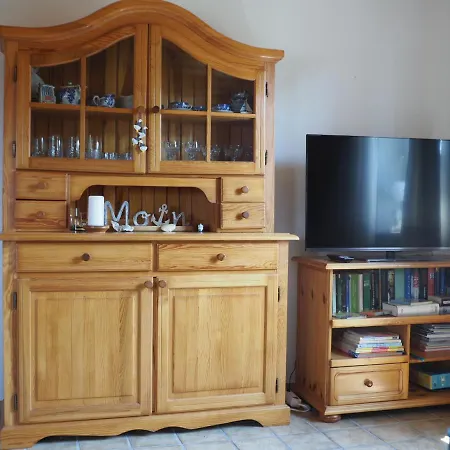 Direkt Am Deich - Seerobbe - 돌눔