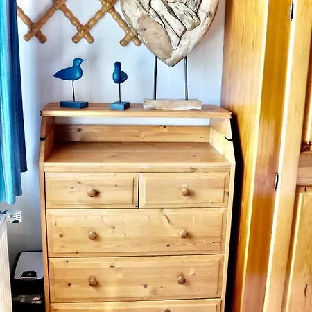 Direkt Am Deich - Seerobbe -