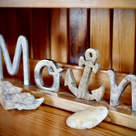 아파트 Direkt Am Deich - Seerobbe - *