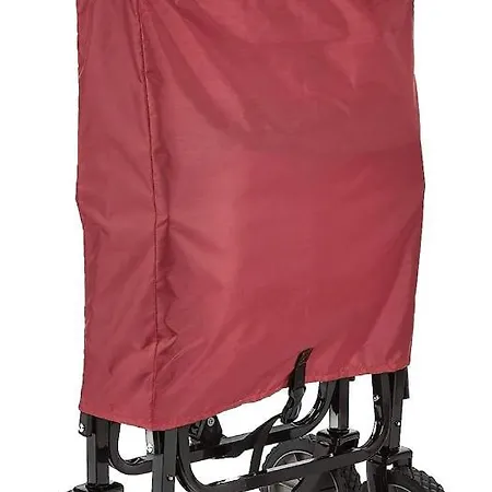 Direkt Am Deich - Seerobbe - *