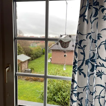 Direkt Am Deich - Seerobbe - * 돌눔