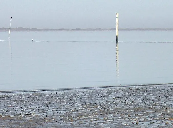 Lägenhet Direkt Am Deich - Seerobbe -