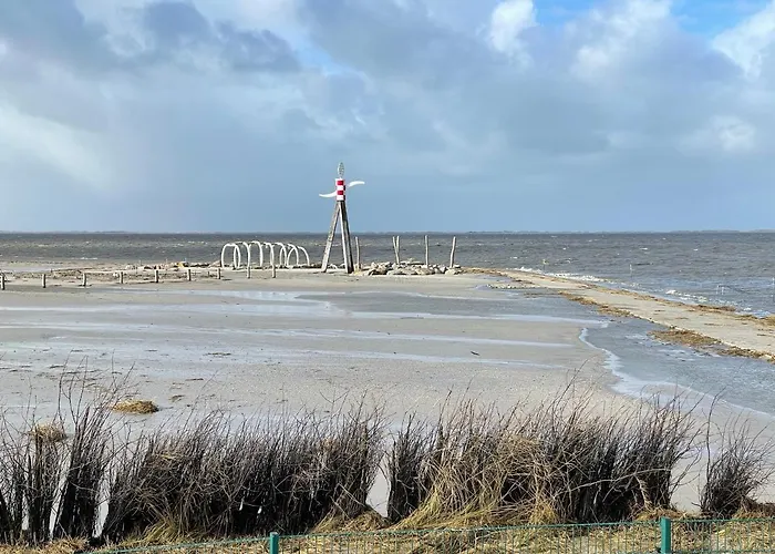 Direkt Am Deich - Seerobbe - Dornum