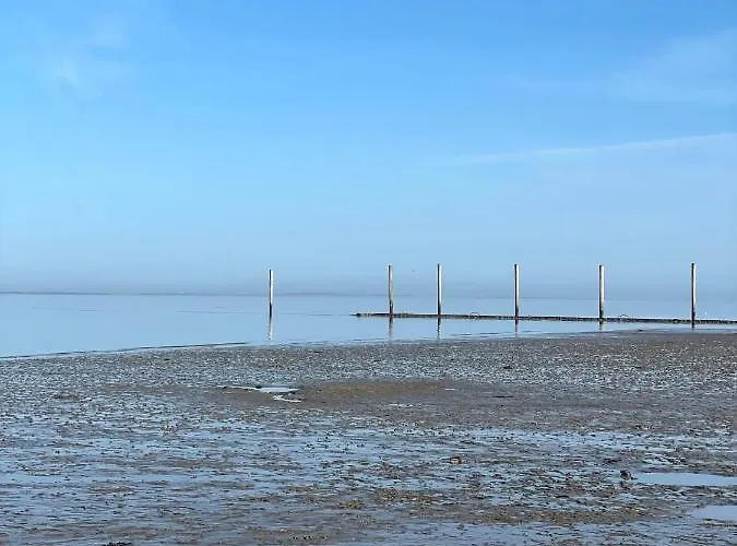 Direkt Am Deich - Seerobbe - *