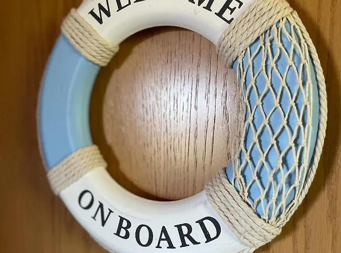 Direkt Am Deich - Seerobbe - *