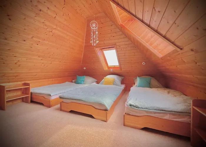 Direkt Am Deich - Seerobbe - * Dornum