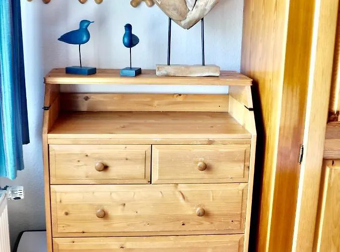 Direkt Am Deich - Seerobbe -